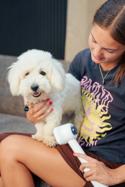 Kvinde bruger Snuderiget™ 5-i-1 grooming kit til at pleje en lille hvid hund derhjemme